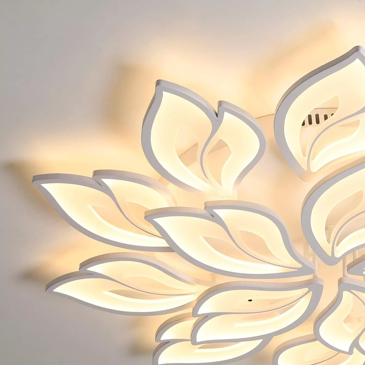 2290 c4a8f3.webp