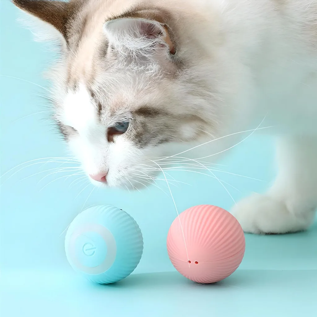 Interactive Electric Cat Ball Special Deals 