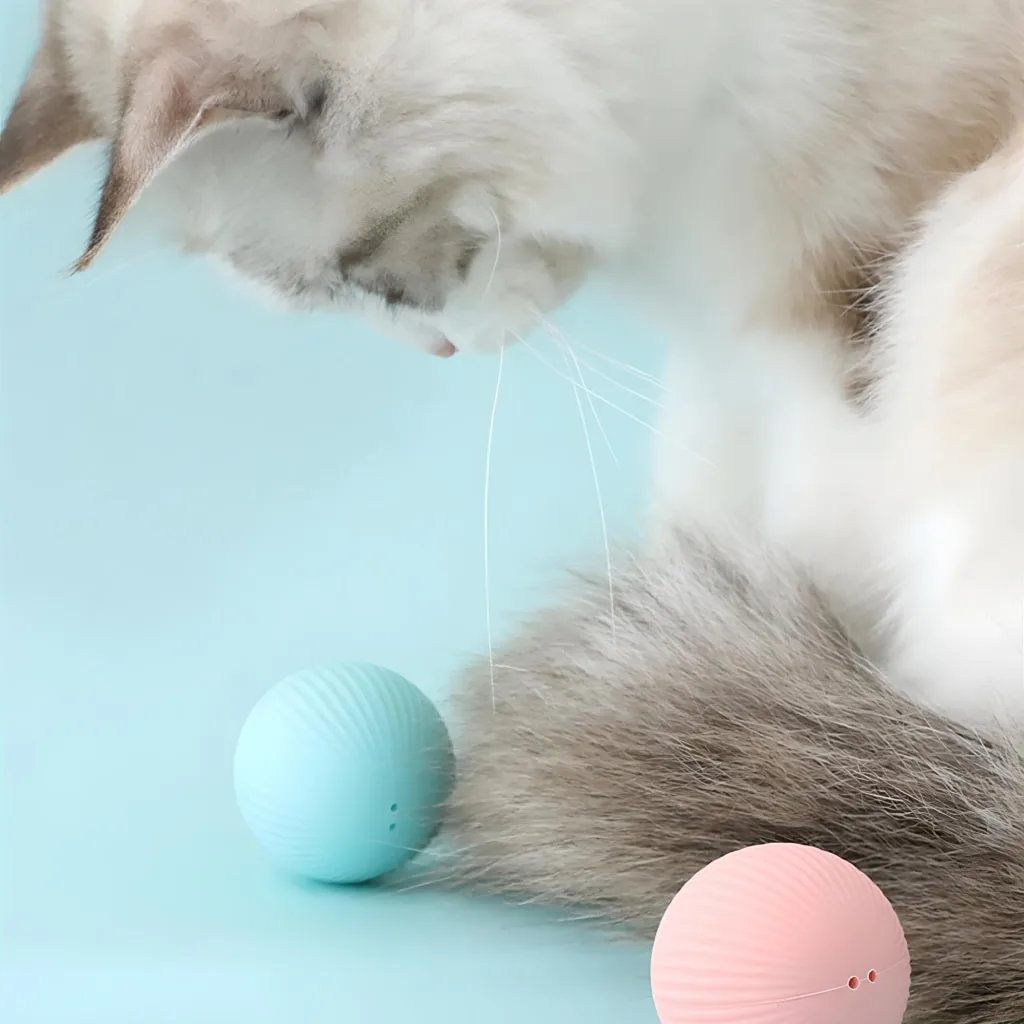 Interactive Electric Cat Ball Special Deals 