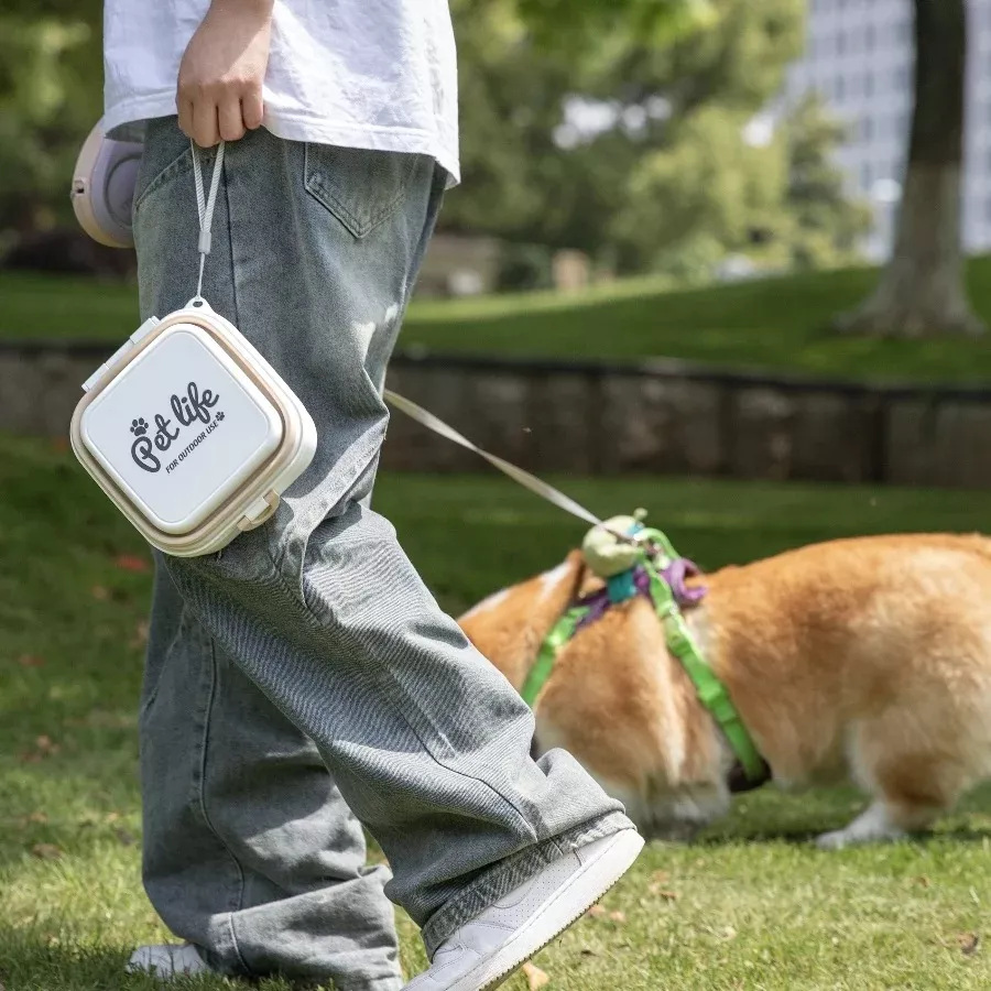 Person walking corgi with pet accessory box.