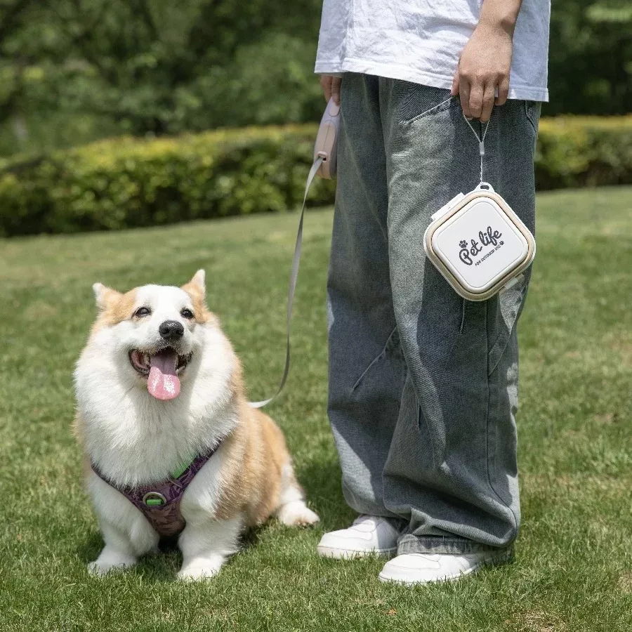 Corgi sitting with leash holder on grass