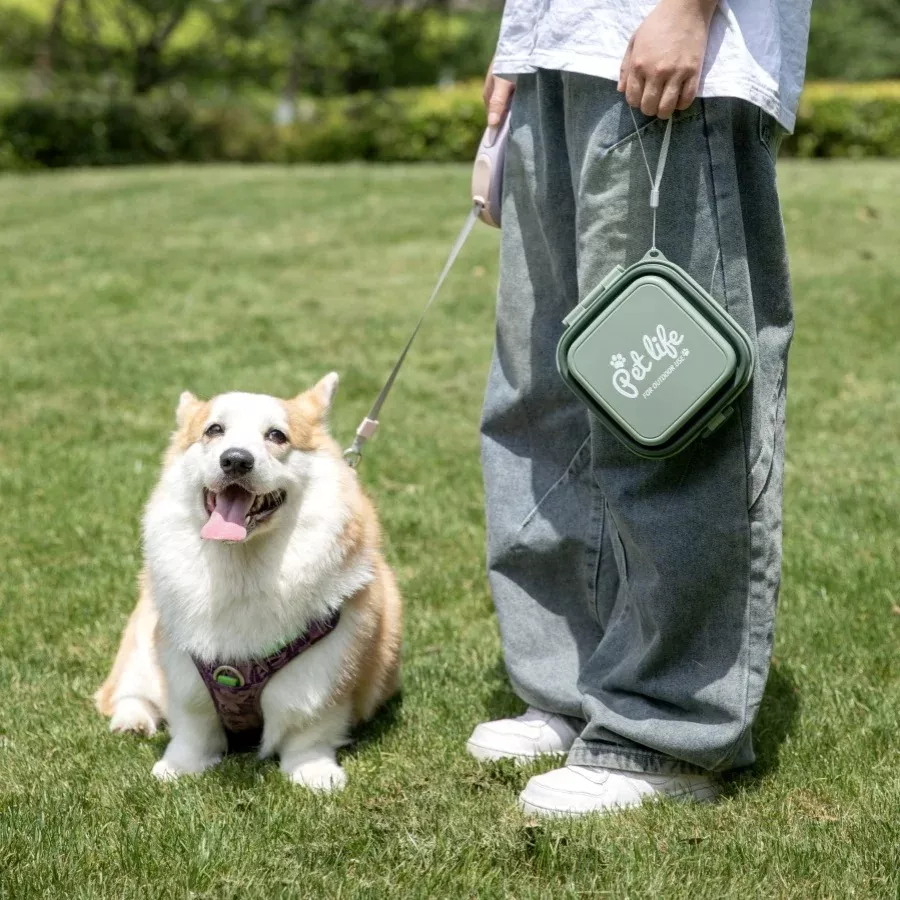 Corgi sitting on grass with owner holding a leash.